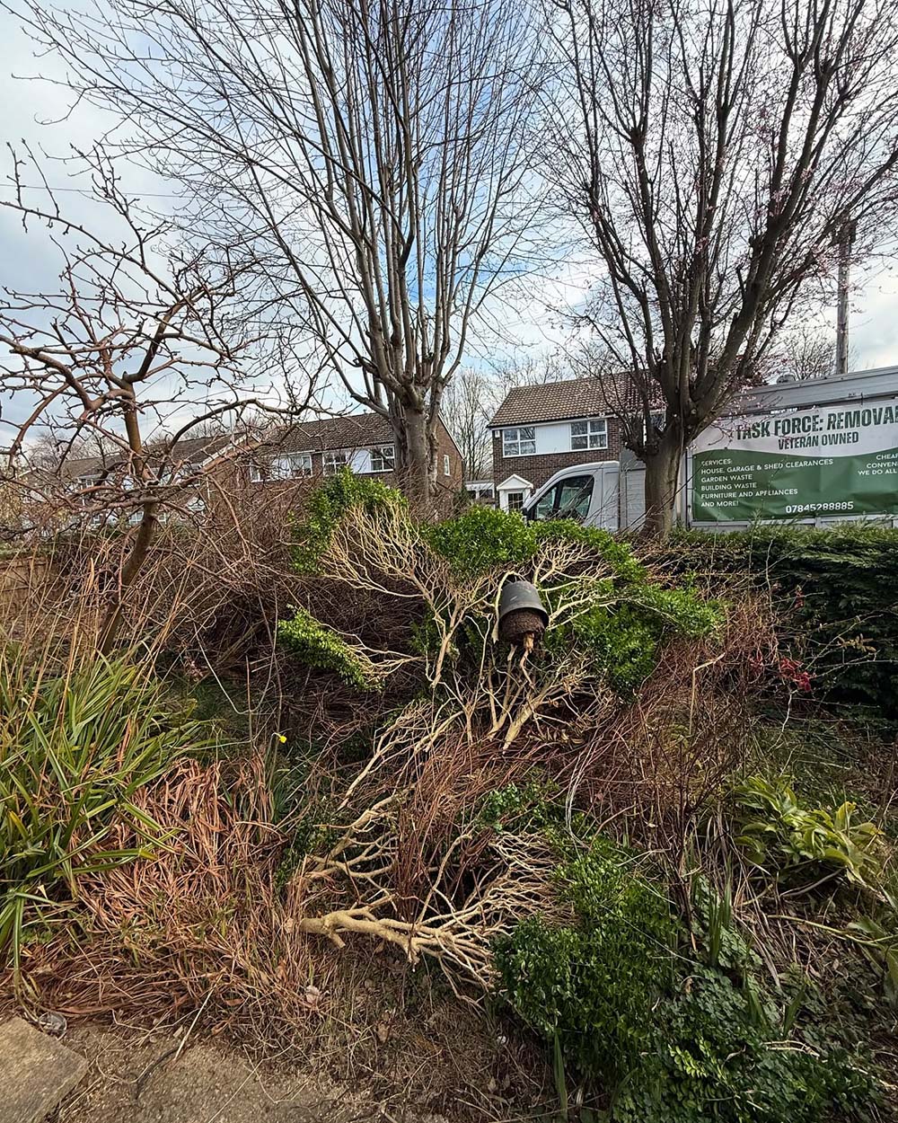 Garden tree removal in West Yorkshire