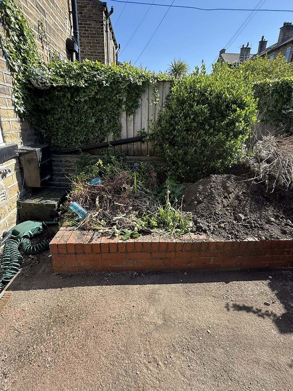 Soil and bushes in a garden in West Yorkshire